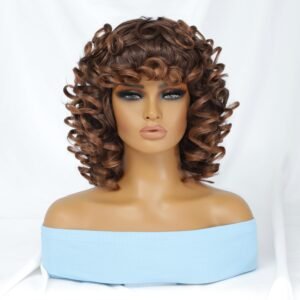 Short Curly Afro Wigs with Bangs for Black Women Afro Kinky Curly Wigs for Black Women Synthetic Heat Resistant Fluffy Wigs Full Machine Made Wig for Black Women 250g (14 Inch, T33-30)